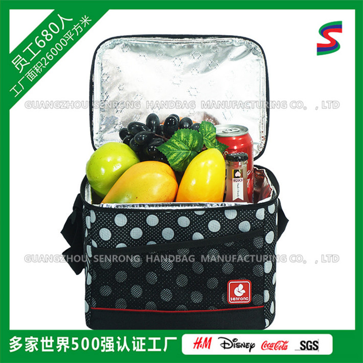 戶(hù)外郊游冰包（保溫包）